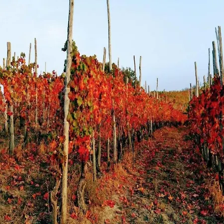 Belvilla By Oyo Barolo *